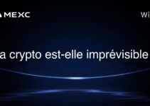 La crypto est-elle imprévisible ?