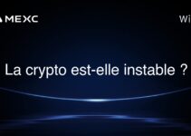 La crypto est-elle instable ?
