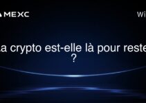 La crypto est-elle là pour rester ?