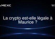 La crypto est-elle légale à Maurice ?
