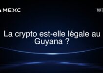 La crypto est-elle légale au Guyana ?