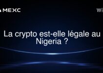 La crypto est-elle légale au Nigeria ?