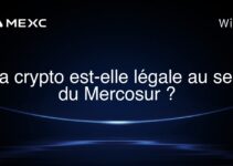 La crypto est-elle légale au sein du Mercosur ?