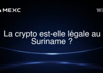 La crypto est-elle légale au Suriname ?