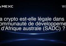La crypto est-elle légale dans la Communauté de développement d’Afrique australe (SADC) ?