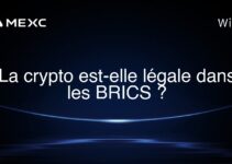 La crypto est-elle légale dans les BRICS ?