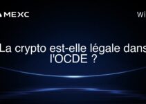 La crypto est-elle légale dans l’OCDE ?