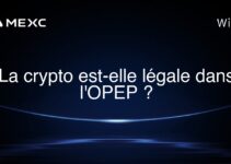 La crypto est-elle légale dans l’OPEP ?