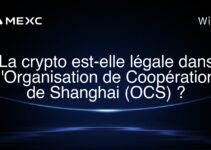 La crypto est-elle légale dans l’Organisation de Coopération de Shanghai (OCS) ?