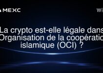 La crypto est-elle légale dans l’Organisation de la coopération islamique (OCI) ?