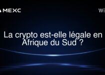 La crypto est-elle légale en Afrique du Sud ?