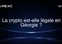 La crypto est-elle légale en Géorgie ?