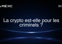 La crypto est-elle pour les criminels ?
