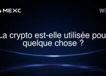 La crypto est-elle utilisée pour quelque chose ?