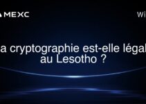 La cryptographie est-elle légale au Lesotho ?