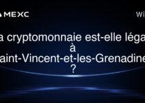 La cryptomonnaie est-elle légale à Saint-Vincent-et-les-Grenadines ?