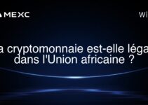 La cryptomonnaie est-elle légale dans l’Union africaine ?