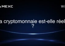 La cryptomonnaie est-elle réelle ?