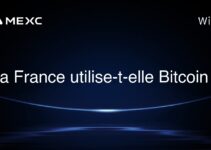 La France utilise-t-elle Bitcoin ?