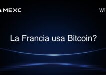 La Francia usa Bitcoin?