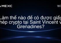Làm thế nào để có được giấy phép crypto tại Saint Vincent và Grenadines?
