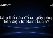 Làm thế nào để có giấy phép tiền điện tử Saint Lucia?