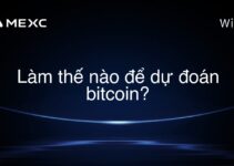 Làm thế nào để dự đoán bitcoin?