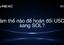 Làm thế nào để hoán đổi USDT sang SOL?