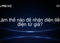 Làm thế nào để nhận diện tiền điện tử giả?