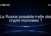 La Russie possède-t-elle des crypto-monnaies ?