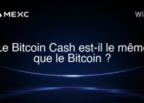 Le Bitcoin Cash est-il le même que le Bitcoin ?