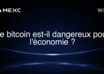 Le bitcoin est-il dangereux pour l’économie ?