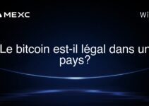 Le bitcoin est-il légal dans un pays?