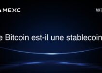 Le Bitcoin est-il une stablecoin ?