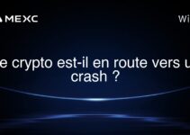Le crypto est-il en route vers un crash ?