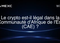 Le crypto est-il légal dans la Communauté d’Afrique de l’Est (CAE) ?