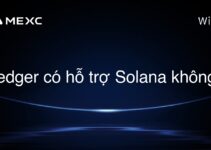 Ledger có hỗ trợ Solana không?