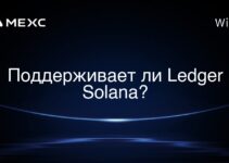 Поддерживает ли Ledger Solana?