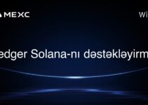 Ledger Solana-nı dəstəkləyirmi?