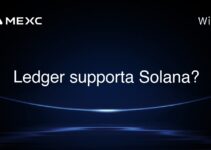 Ledger supporta Solana?