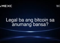 Legal ba ang bitcoin sa anumang bansa?