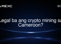 Legal ba ang crypto mining sa Cameroon?