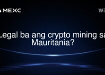 Legal ba ang crypto mining sa Mauritania?