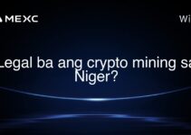 Legal ba ang crypto mining sa Niger?