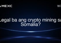 Legal ba ang crypto mining sa Somalia?