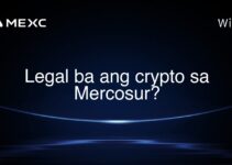 Legal ba ang crypto sa Mercosur?