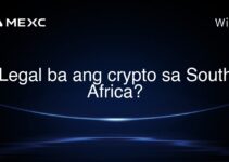 Legal ba ang crypto sa South Africa?