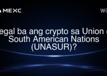 Legal ba ang crypto sa Union of South American Nations (UNASUR)?