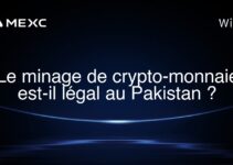 Le minage de crypto-monnaie est-il légal au Pakistan ?