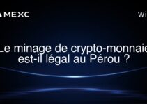 Le minage de crypto-monnaie est-il légal au Pérou ?